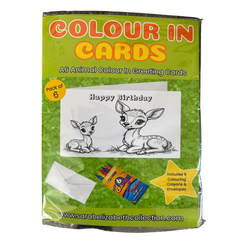 Animal Colour In Birthday Card Pack/ Set of 6, Craft, Art, Blank Cards, Kids