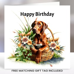 Great Dane Birthday Card with Matching Gift Tag/ Scoobie Type Dog, Dog