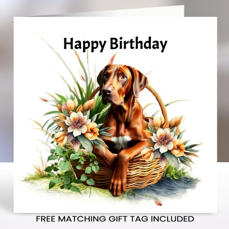 Great Dane Birthday Card with Matching Gift Tag/ Scoobie Type Dog, Dog
