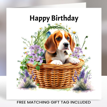 Beagle Birthday Card with Matching Gift Tag/ Small Dog