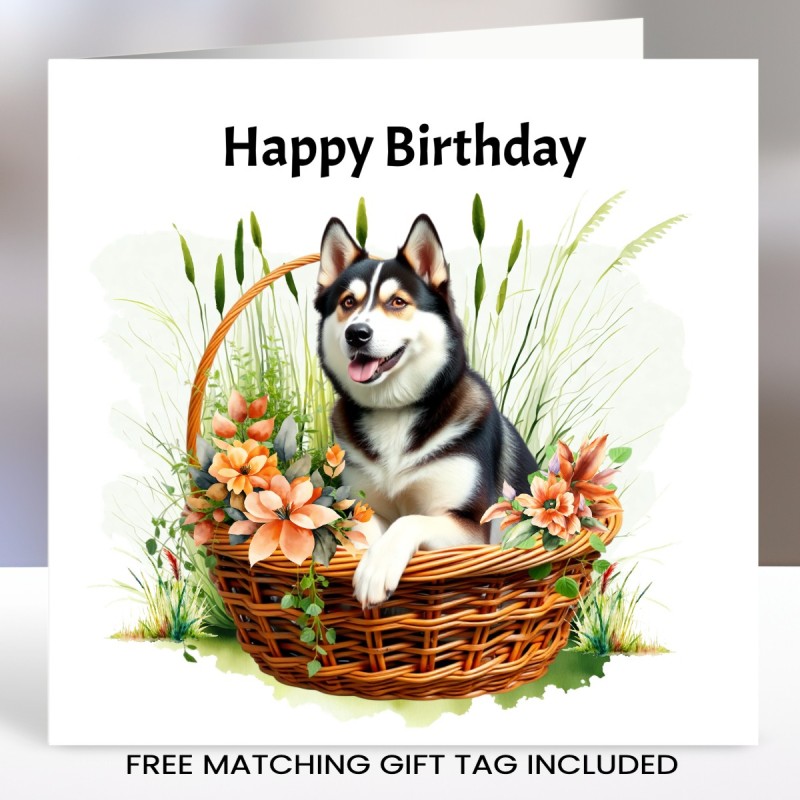 Husky Birthday Card with Matching Gift Tag/ Dog